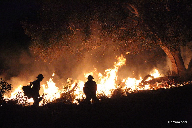 forest-fires