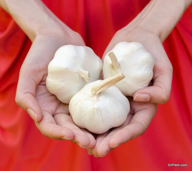 Garlic