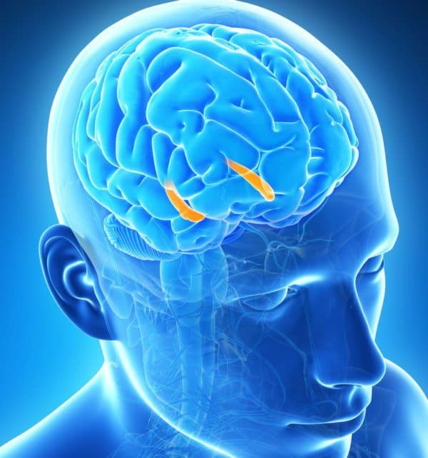 DARPA developing brain implants