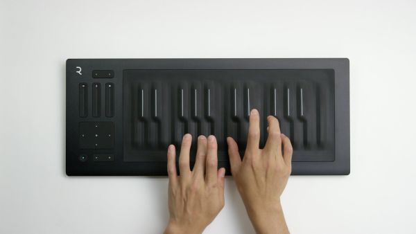 Seaboard RISE