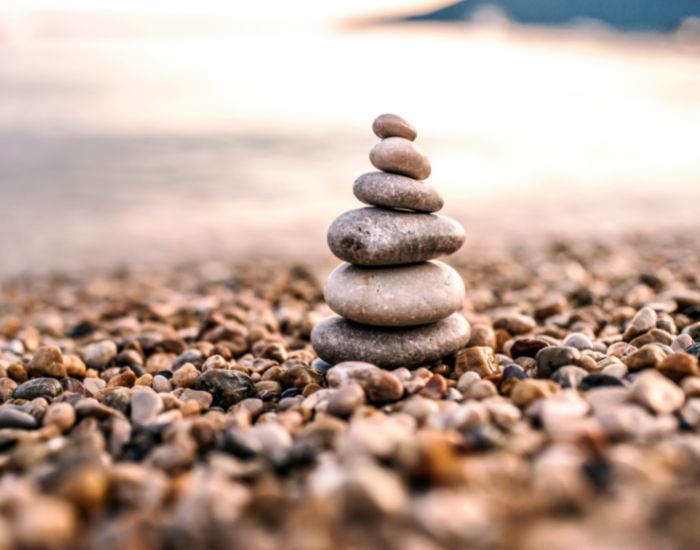 Transformative Wellness