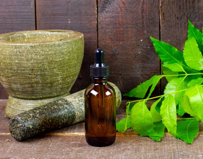 ayurvedic wellness